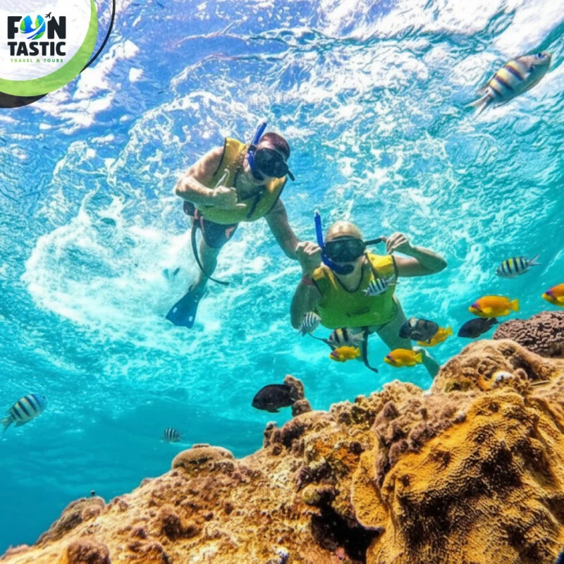 Imagen de El Cielo en Cozumel