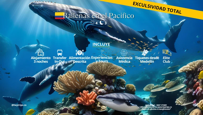 AVISTAMIENTO DE BALLENAS EN EL PACÍFICO