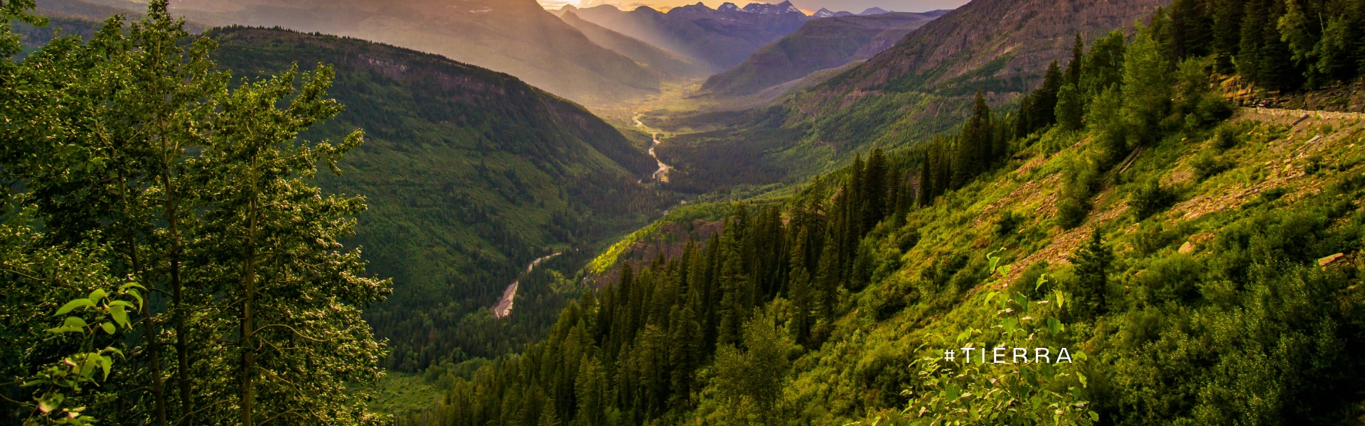 Slide background