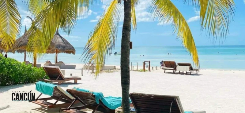 Tour a Holbox desde Cancún: todo lo que debes saber