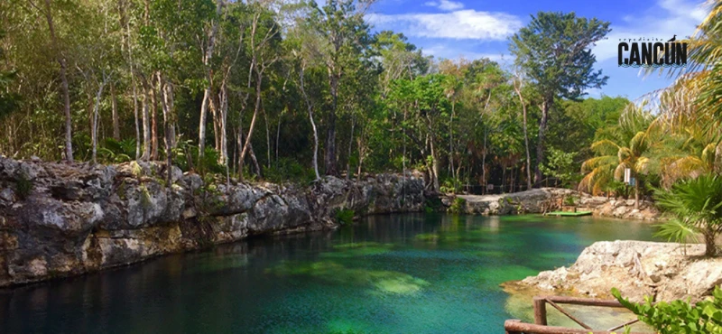 Tour Tulum Casa Tortuga: ruinas, cenotes y consejos