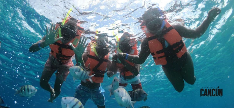 Cozumel desde Cancún: tour, snorkel y consejos