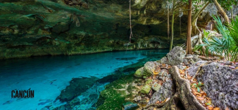 Mejores cenotes en Tulum (y qué visitar en tour)