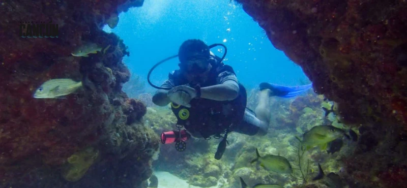 Isla Mujeres todo incluido: qué esperar del tour