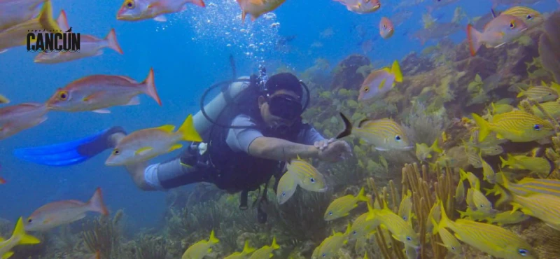Isla Mujeres todo incluido: qué esperar del tour