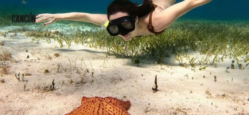 Cozumel desde Cancún: tour, snorkel y consejos