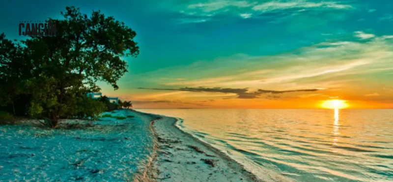 Tour a Holbox desde Cancún: todo lo que debes saber