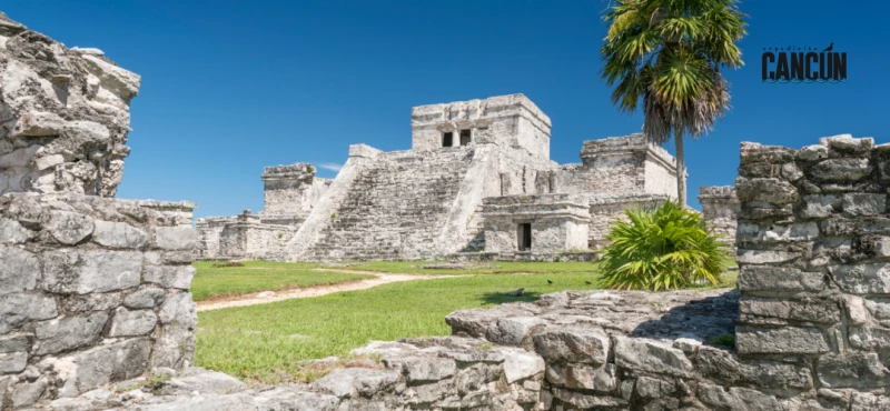 Tour Tulum Casa Tortuga: ruinas, cenotes y consejos