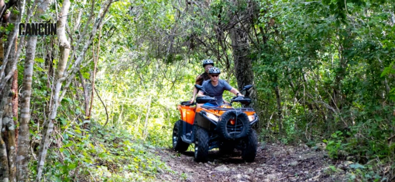 Tour Tulum Casa Tortuga: ruinas, cenotes y consejos