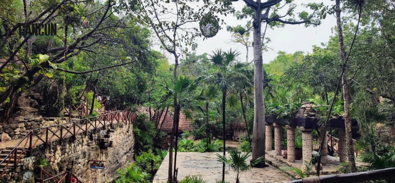 Xcaret o Xcaret Plus: diferencias claras para decidir bien