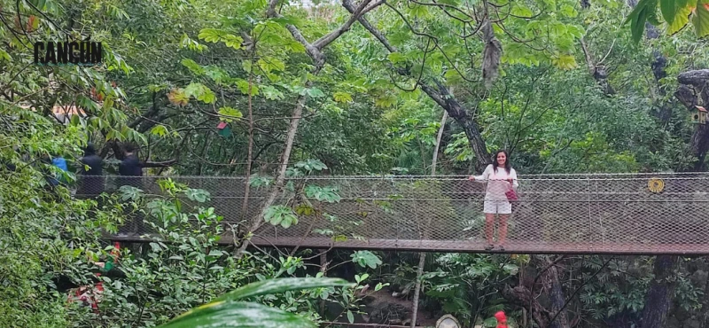 Xcaret o Xcaret Plus: diferencias claras para decidir bien