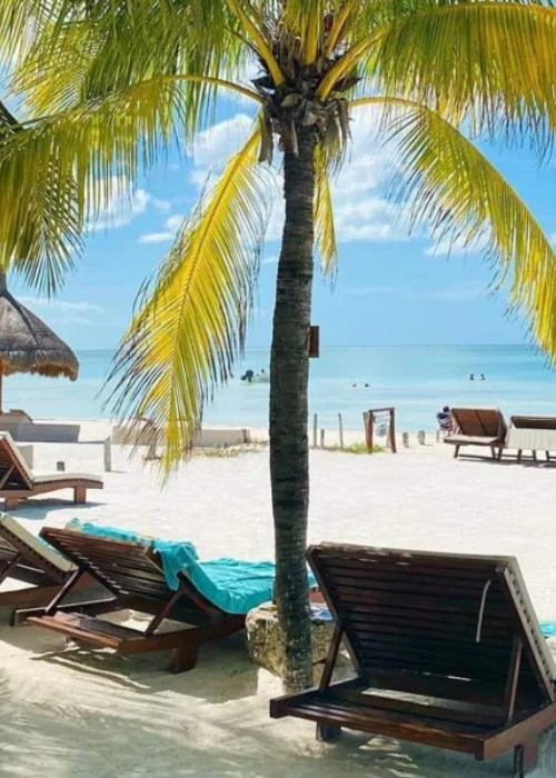 Mejor época para viajar a Holbox