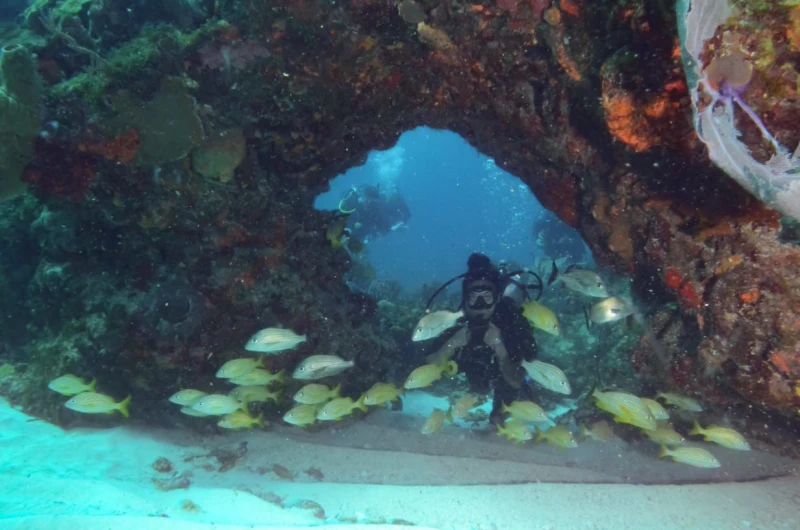 ISLA MUJERES BUZOS PRINCIPIANTES