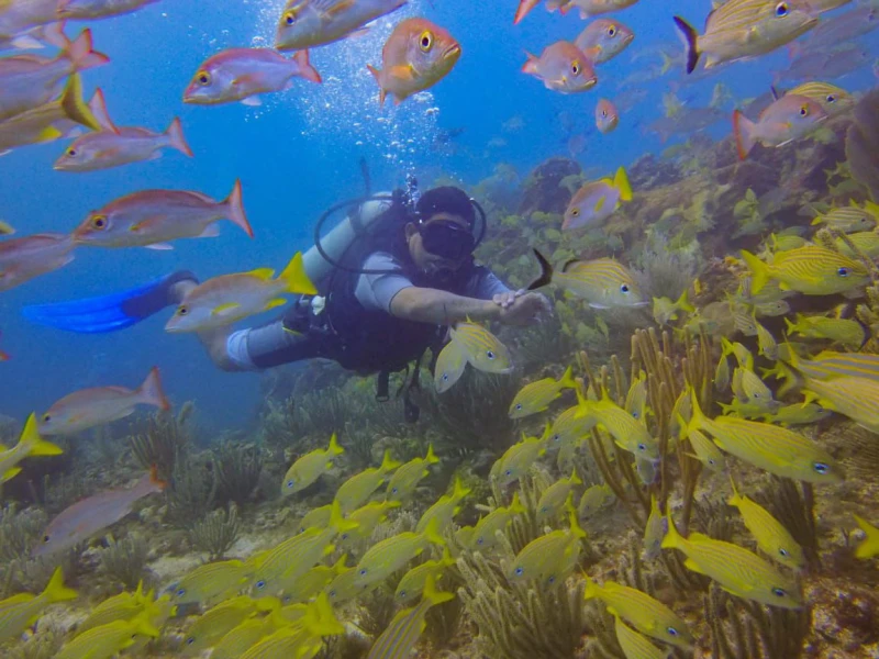 ISLA MUJERES BUZOS PRINCIPIANTES