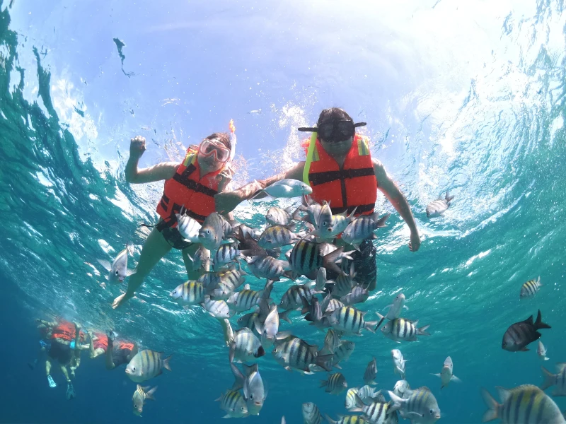 COZUMEL CLEAR BOAT