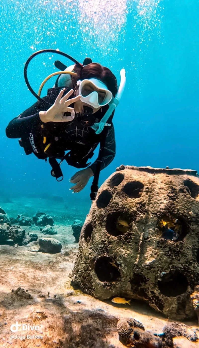 COZUMEL BUCEO PRINCIPIANTES DESDE COSTA