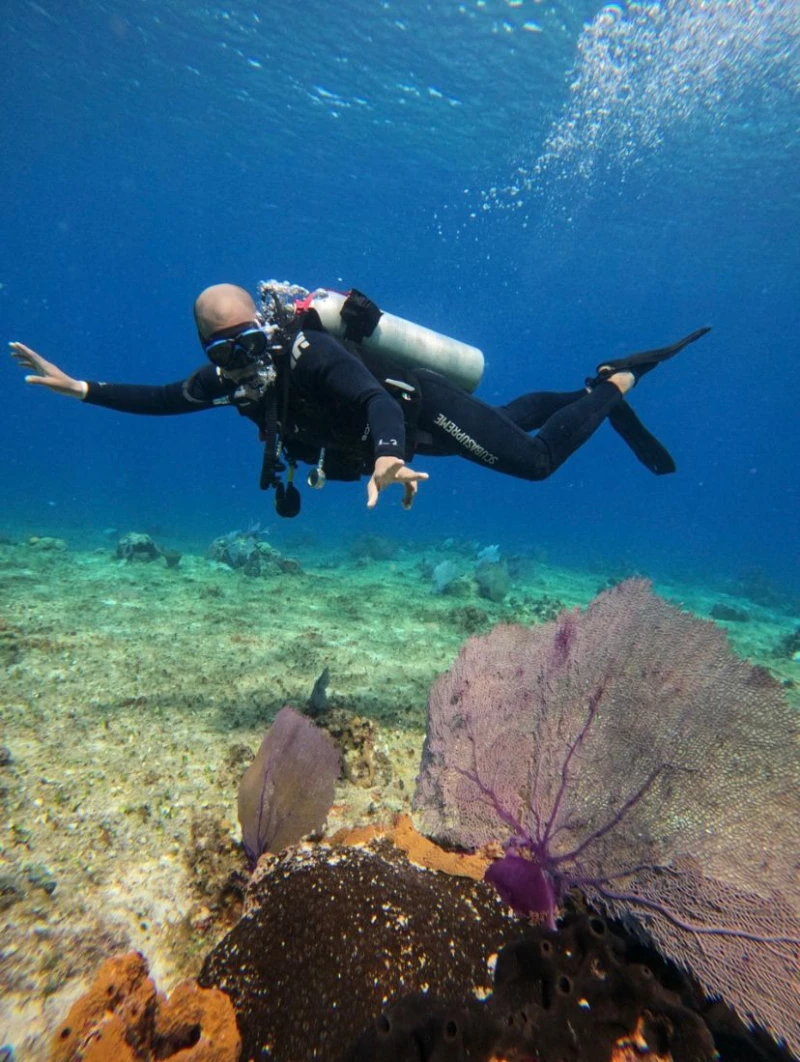 COZUMEL BUCEO PRINCIPIANTES DESDE COSTA