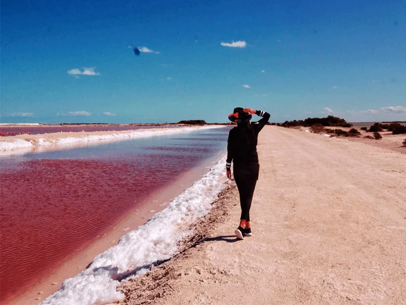 COLORADAS & RIO LAGARTOS