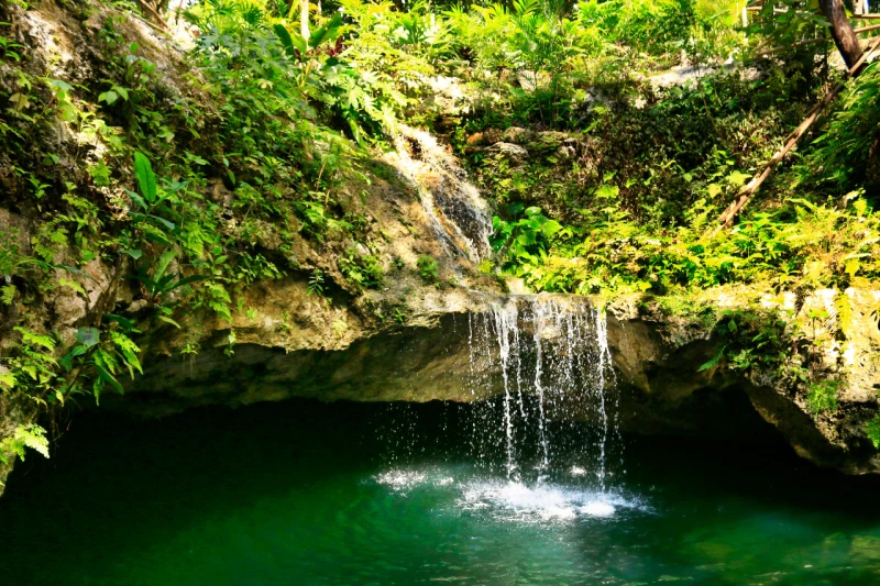 CENOTE EXPERIENCE