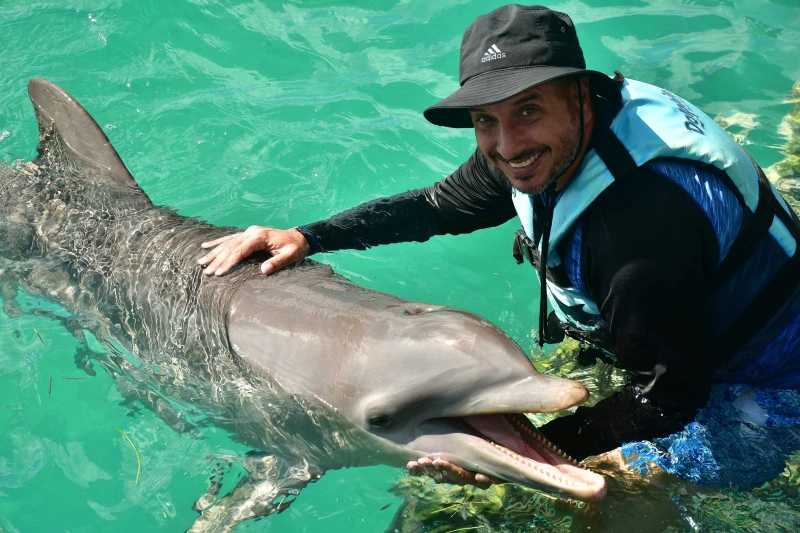 IM CATAMARAN + DELFINES SWIM ADVENTURE