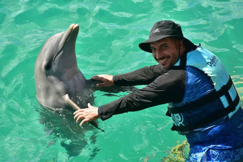 IM CATAMARÁN + DELFINES ROYAL SWIM