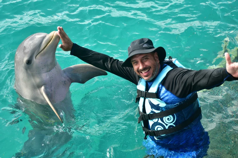 PARQUE GARRAFÓN + DELFINES SWIM ADVENTURE