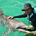 PARQUE GARRAFÓN VIP + DELFINES ROYAL SWIM VIP