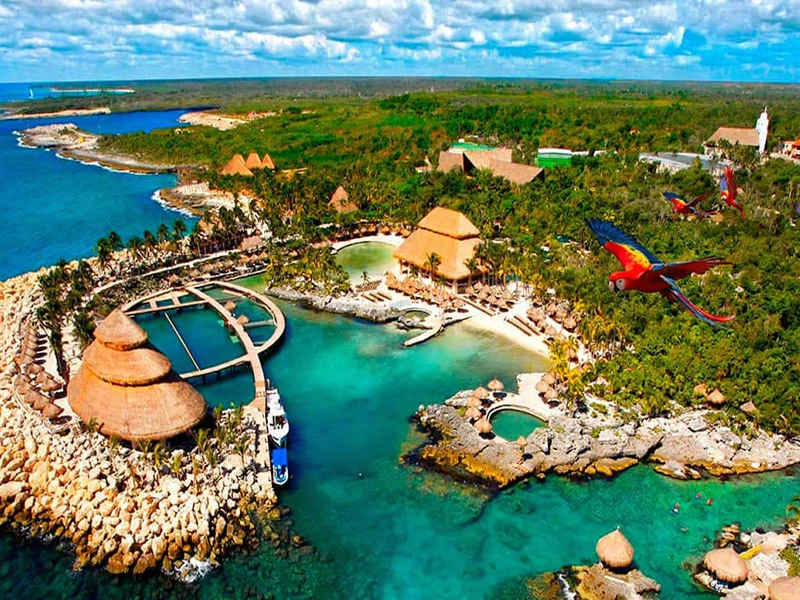 XCARET PLUS