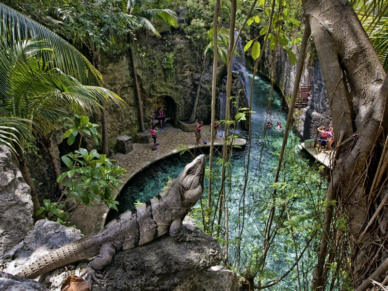 XCARET PLUS