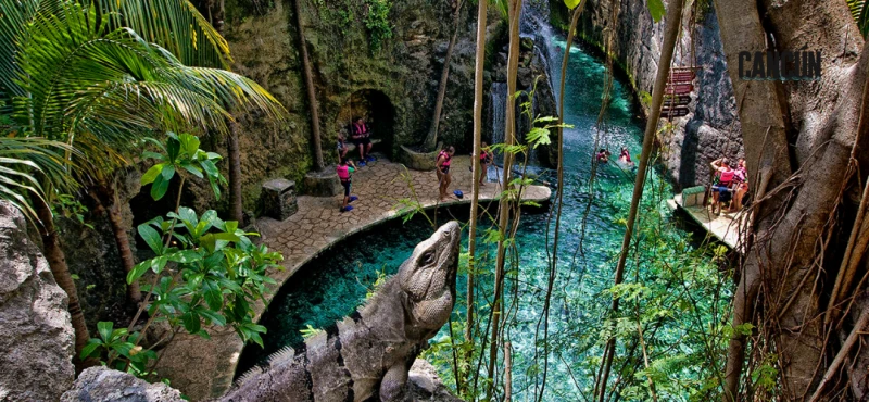 XCARET PLUS
