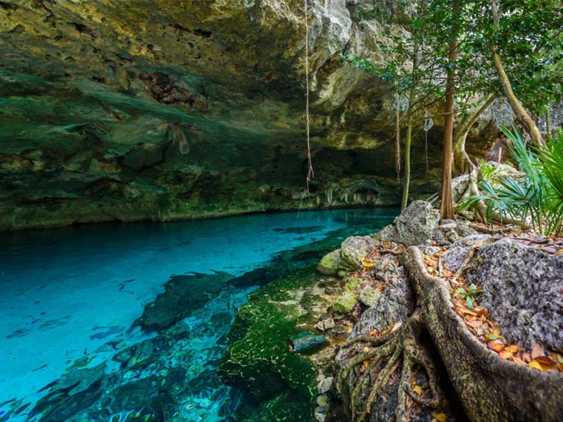 TULUM + CENOTE DOS OJOS