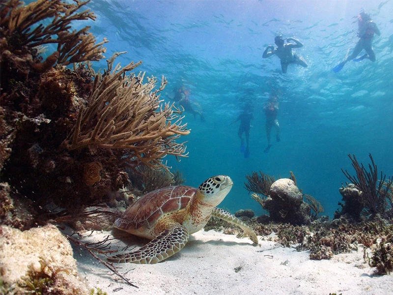 TULUM + AKUMAL