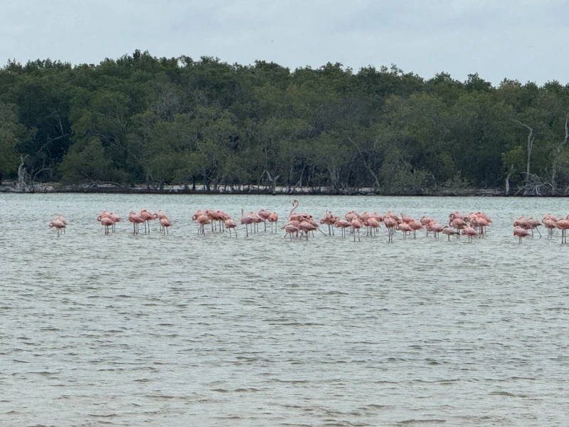 Recorrido por la Riviera Maya