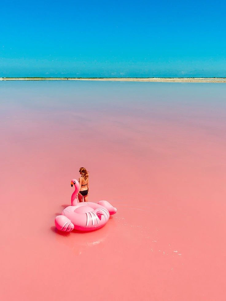 Tour las Coloradas y Rio Lagartos