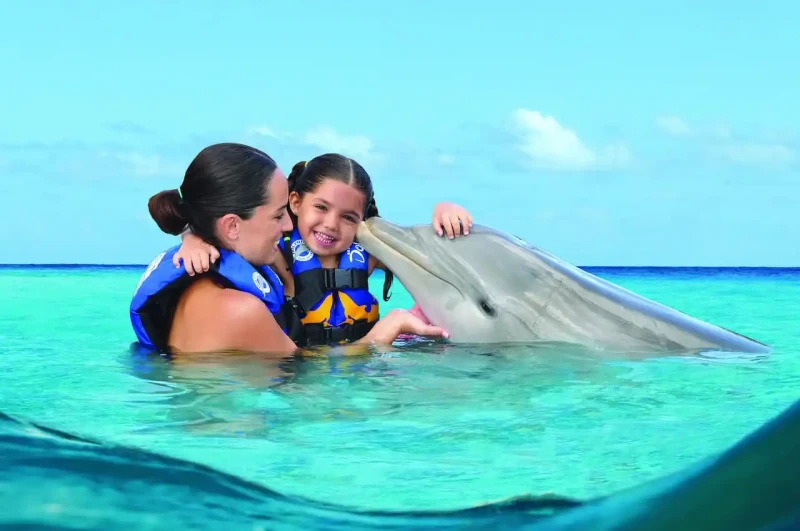 Encuentro con Delfines Isla Mujeres