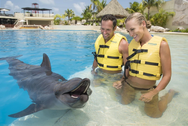 Tour Dolphin Friendly Encounter