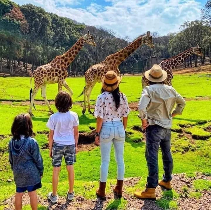 Imagen de BIOPARQUE ESTRELLA, DIVERSION PARA TODOS