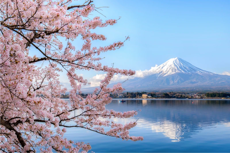 Tour MUJERES EN EL CORAZÓN DE JAPÓN