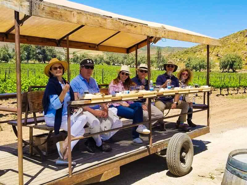 Imagen de Antigua Ruta del Vino en Valle Santo Tomas