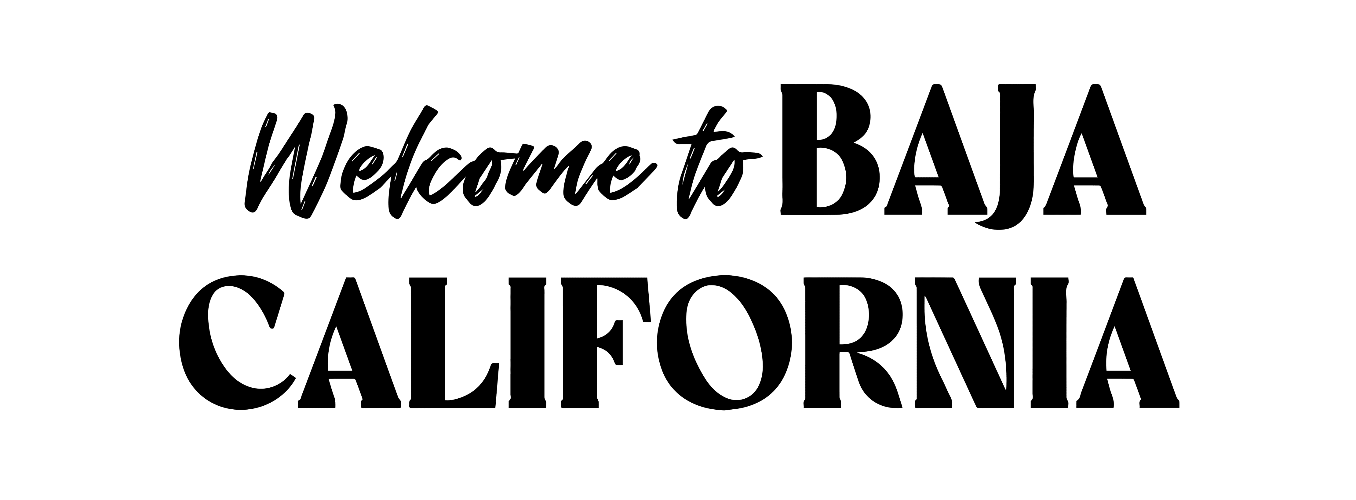FIDE SECTURE BC