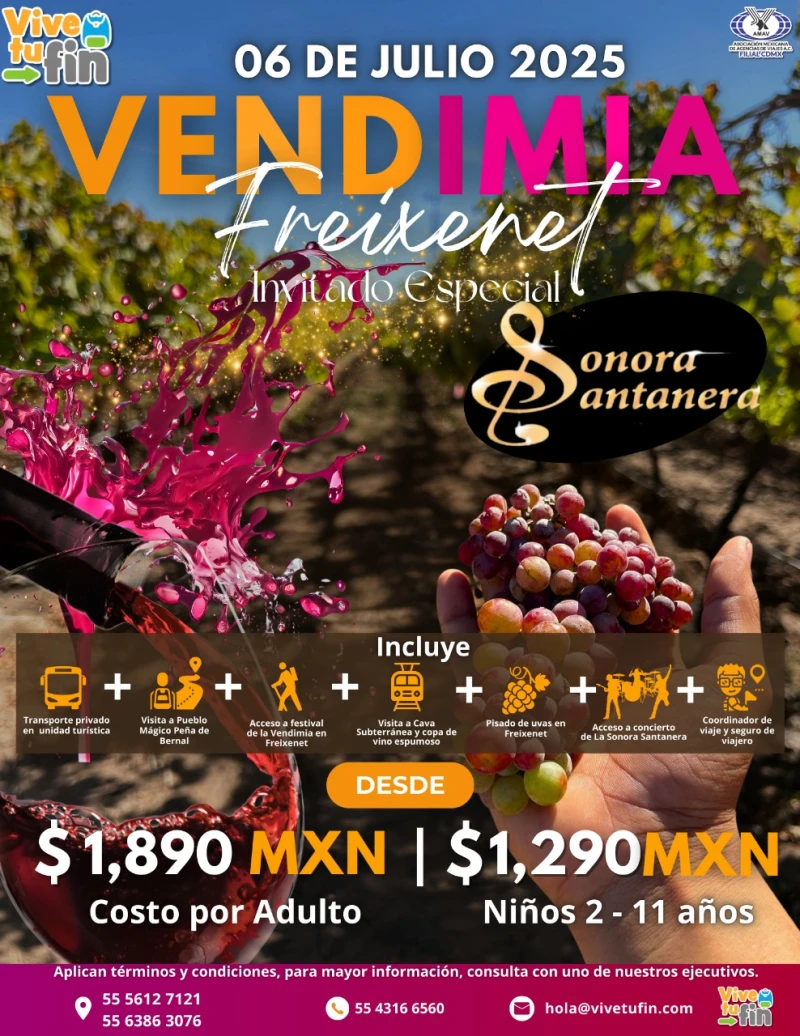 Vendimia Freixenet