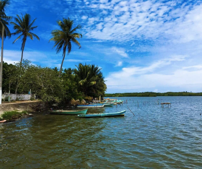 TUXPAN Y TAMIAHUA