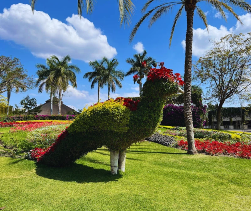 JARDINES DE MÉXICO Y TEPOZTLÁN