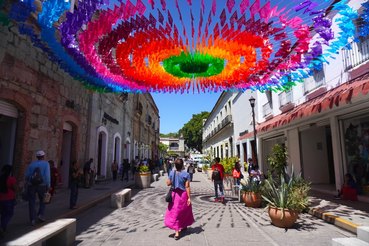 Tour privado por Oaxaca